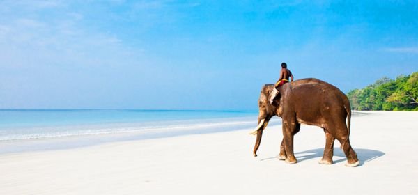 Elephant Beach (1)