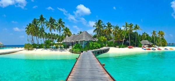 Havelock Island (1)