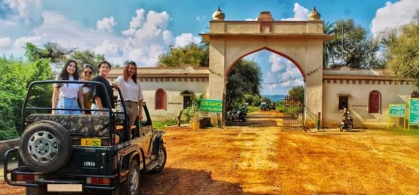 Sariska Wildlife