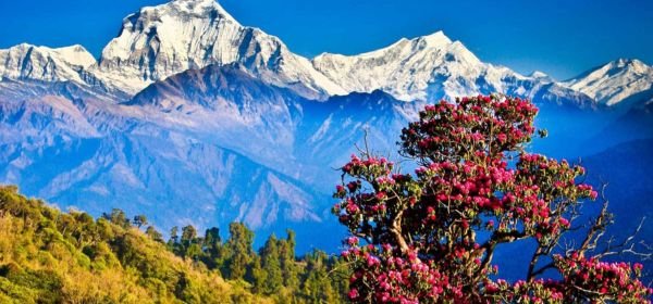 Nagarkot (1)