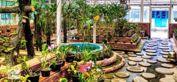 Tipi orchidarium