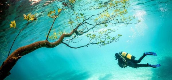 Scuba diving