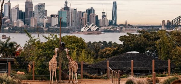 Sydney Zoo (1)