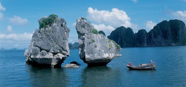 FIGHTING COCK ISLET