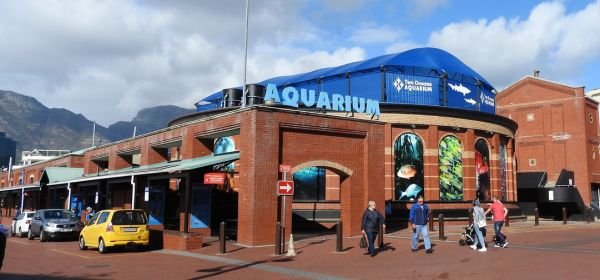 Oceans Aquarium