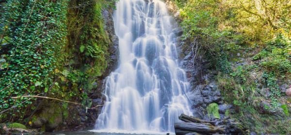 Makhuntseti Waterfall (2)