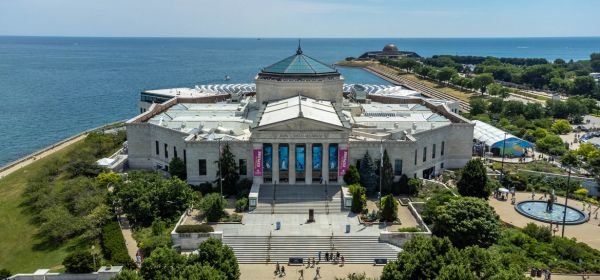Shedd aquarium