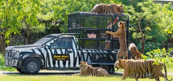 Safari world park  bangkok